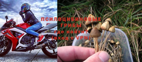 МДПВ Алексеевка