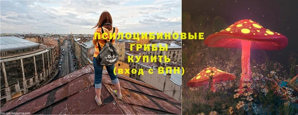 МДПВ Алексеевка