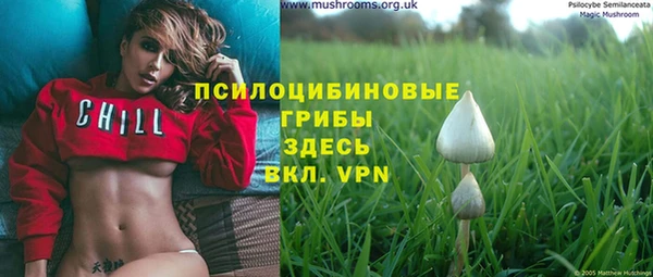 МДПВ Алексеевка