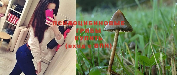 твердый Алзамай