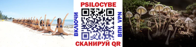 Псилоцибиновые грибы Cubensis что такое Бирск